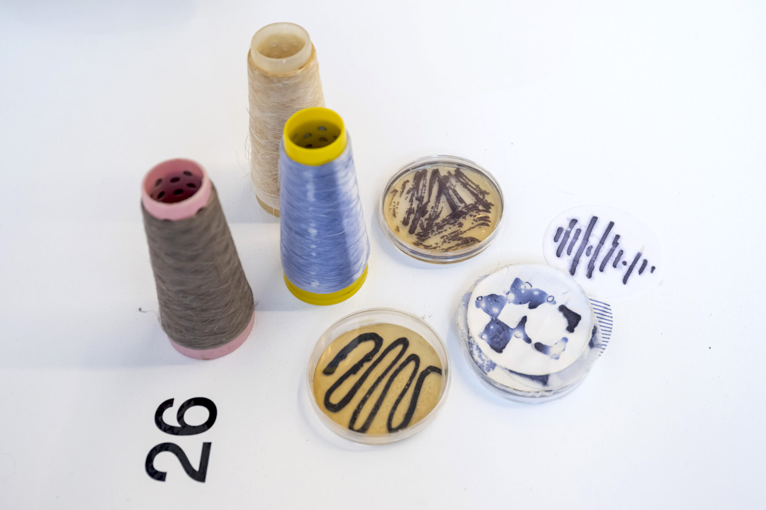 Creating new materials with bacteria and robots