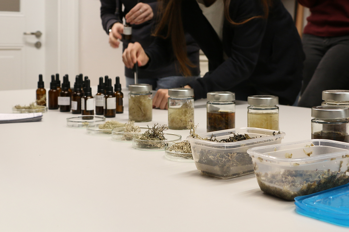 Lichen and Speculation