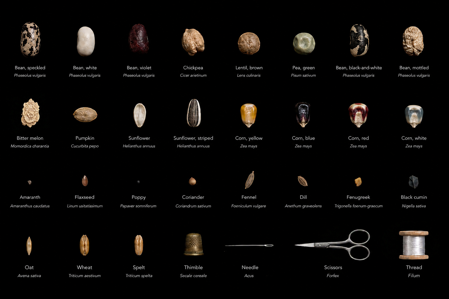 Re-membering our Seeds – Embroidering Stories to Return to the Earth